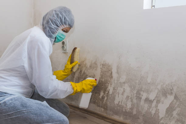 Best Crawl Space Mold Removal  in Verona Walk, FL