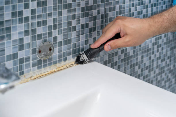 Best Mold Remediation Services  in Verona Walk, FL