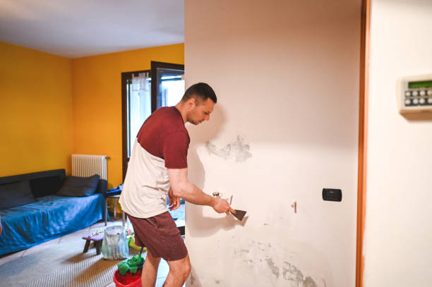Best Mold Removal Process  in Verona Walk, FL