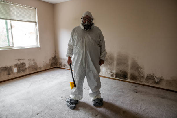 Mold Testing and Removal in Verona Walk, FL